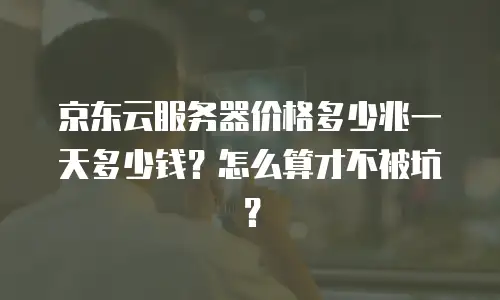 京东云服务器价格多少兆一天多少钱？怎么算才不被坑？