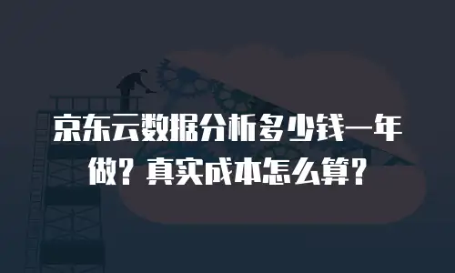 京东云数据分析多少钱一年做？真实成本怎么算？