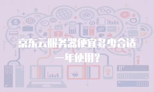 京东云服务器便宜多少合适一年使用？