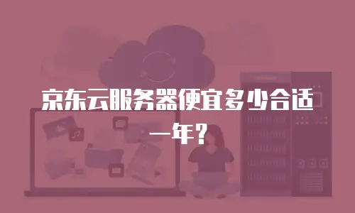 京东云服务器便宜多少合适一年？