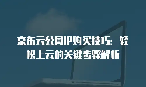 京东云公网IP购买技巧：轻松上云的关键步骤解析