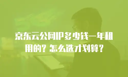 京东云公网IP多少钱一年租用的？怎么选才划算？