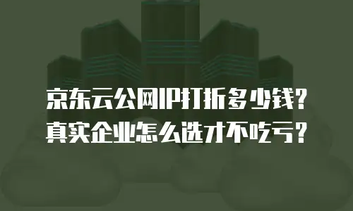 京东云公网IP打折多少钱？真实企业怎么选才不吃亏？