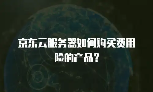 京东云服务器如何购买费用险的产品？
