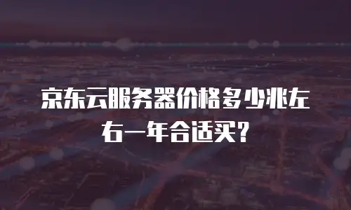 京东云服务器价格多少兆左右一年合适买？