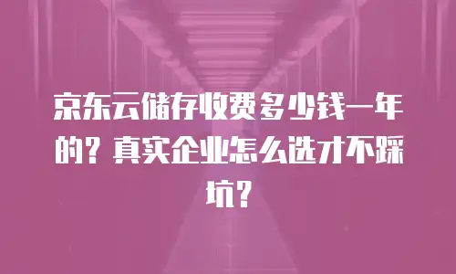 京东云储存收费多少钱一年的？真实企业怎么选才不踩坑？