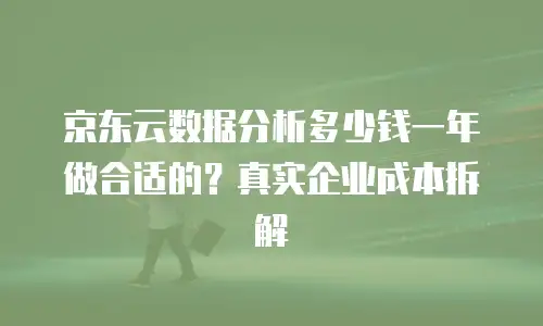 京东云数据分析多少钱一年做合适的？真实企业成本拆解
