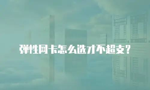 弹性网卡怎么选才不超支？