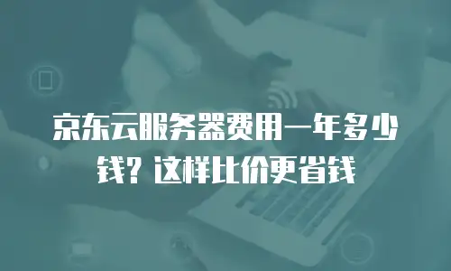 京东云服务器费用一年多少钱？这样比价更省钱