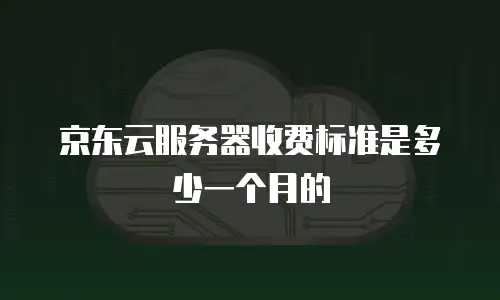 京东云服务器收费标准是多少一个月的