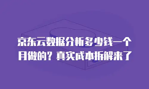 京东云数据分析多少钱一个月做的？真实成本拆解来了
