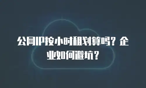 公网IP按小时租划算吗？企业如何避坑？
