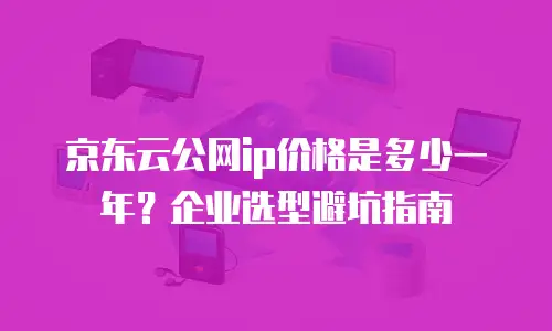 京东云公网ip价格是多少一年？企业选型避坑指南
