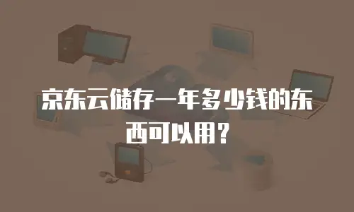 京东云储存一年多少钱的东西可以用？