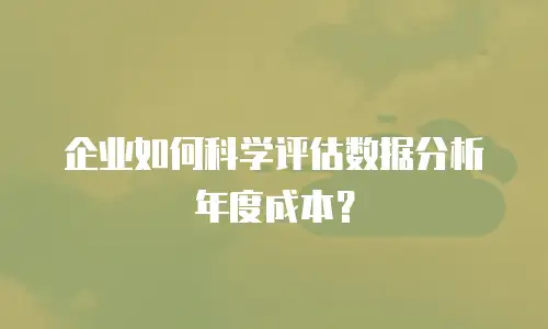 企业如何科学评估数据分析年度成本？