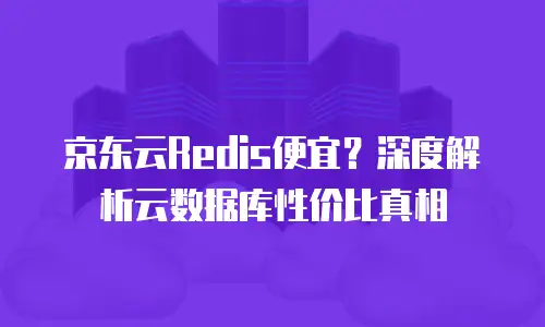 京东云弹性网卡返现多少？深度解析与实用指南