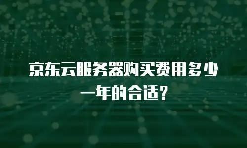 京东云服务器购买费用多少一年的合适？