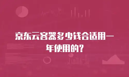 京东云容器多少钱合适用一年使用的？
