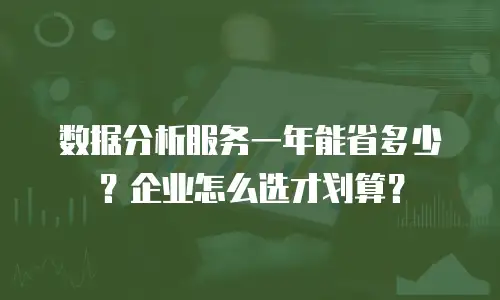 数据分析服务一年能省多少？企业怎么选才划算？