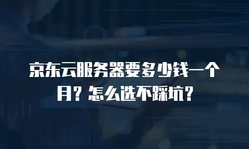 京东云服务器要多少钱一个月？怎么选不踩坑？
