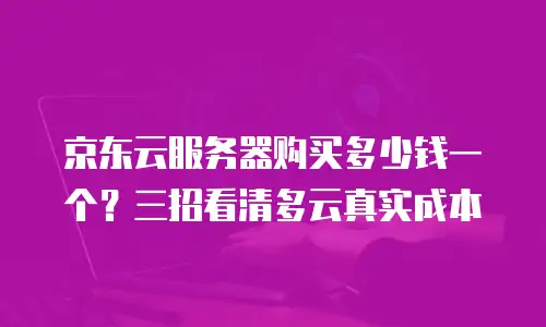 京东云服务器购买多少钱一个？三招看清多云真实成本