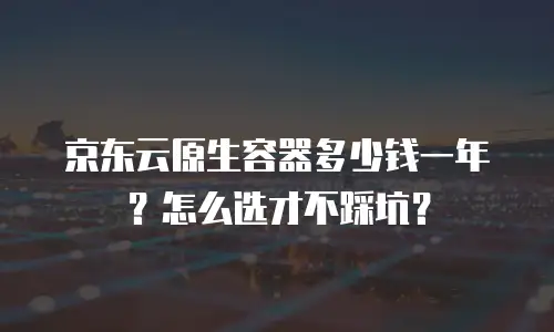 京东云原生容器多少钱一年？怎么选才不踩坑？