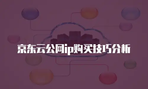 京东云公网ip购买技巧分析