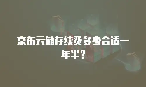 京东云储存续费多少合适一年半？