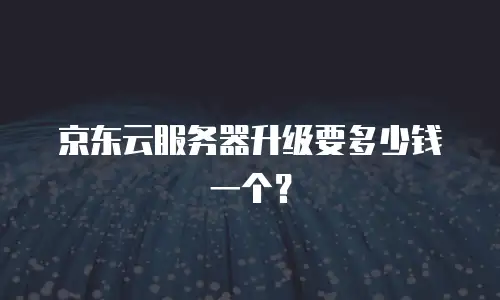 京东云服务器升级要多少钱一个？