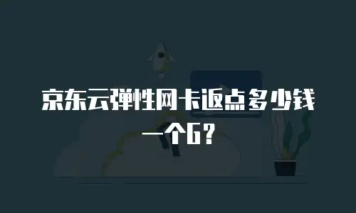 京东云弹性网卡返点多少钱一个G？