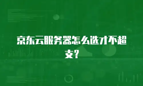 京东云服务器怎么选才不超支？