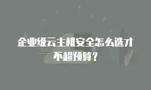 企业级云主机安全怎么选才不超预算？