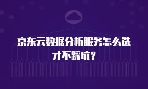 京东云数据分析服务怎么选才不踩坑？