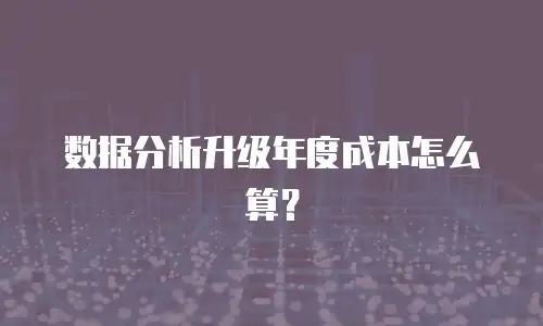 数据分析升级年度成本怎么算？