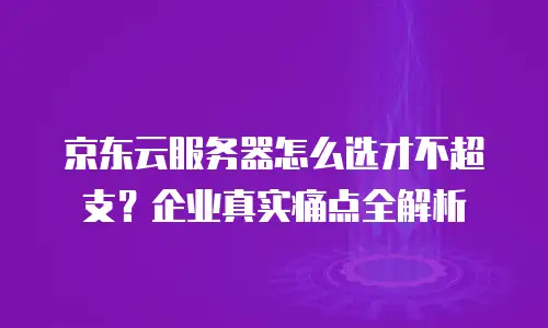 京东云服务器怎么选才不超支？企业真实痛点全解析