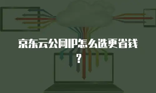 京东云公网IP怎么选更省钱？