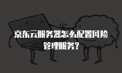 京东云服务器怎么配置风险管理服务？