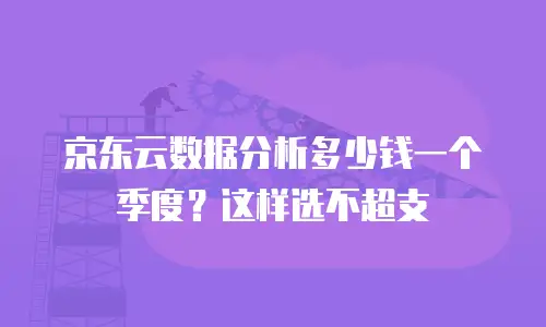 京东云数据分析多少钱一个季度？这样选不超支