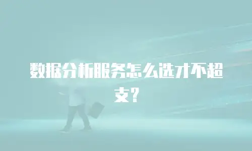 数据分析服务怎么选才不超支？