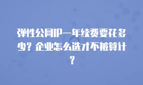 弹性公网IP一年续费要花多少？企业怎么选才不被算计？