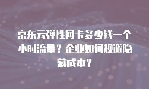 京东云弹性网卡多少钱一个小时流量？企业如何规避隐藏成本？