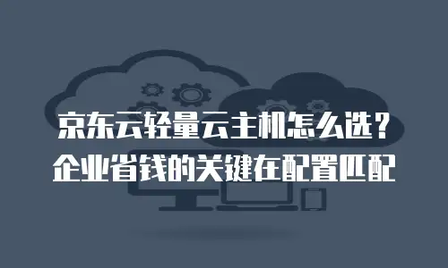 京东云轻量云主机怎么选？企业省钱的关键在配置匹配
