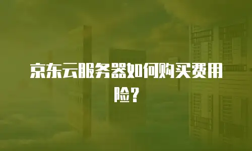 京东云服务器如何购买费用险？