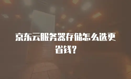 京东云服务器存储怎么选更省钱？