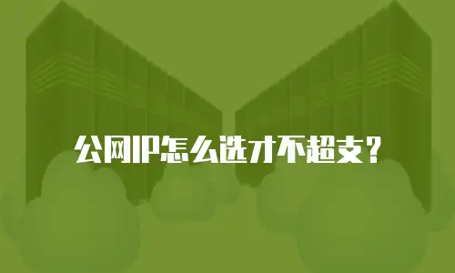 公网IP怎么选才不超支？