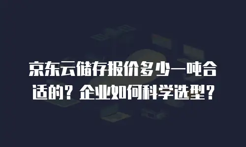 京东云储存报价多少一吨合适的？企业如何科学选型？
