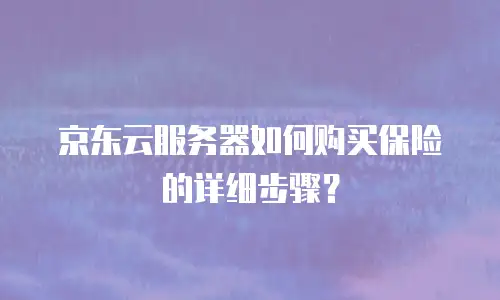 京东云服务器如何购买保险的详细步骤？