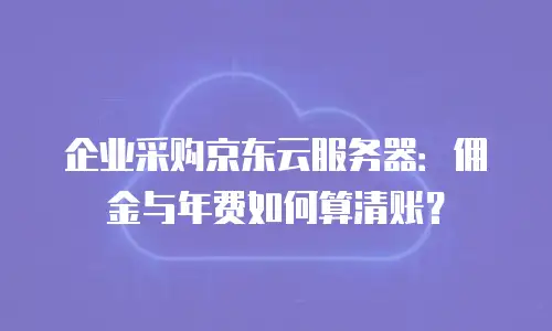 企业采购京东云服务器：佣金与年费如何算清账？