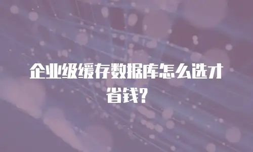 企业级缓存数据库怎么选才省钱？