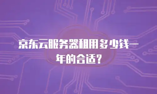 京东云服务器租用多少钱一年的合适？